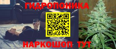 2c-b Будённовск
