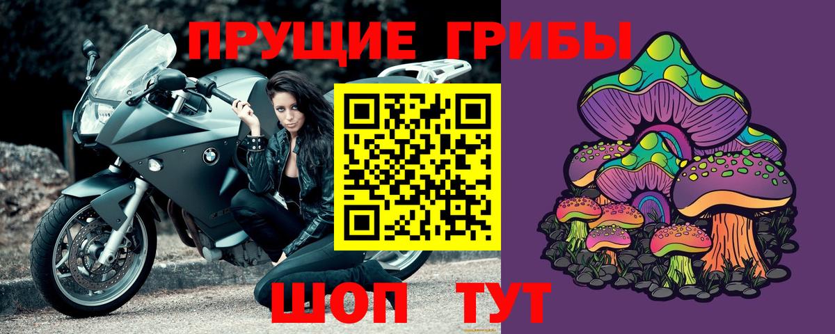 Морозовск  Галлюциногенные грибы Cubensis  Вход с VPN 
